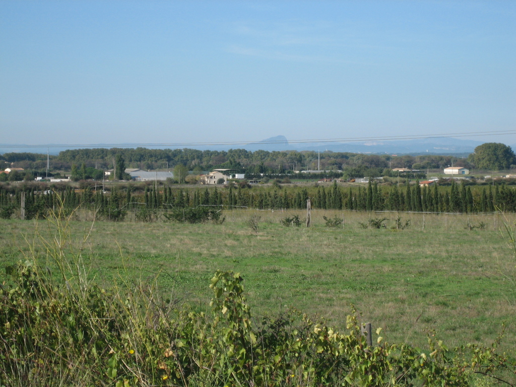 Pic St Loup