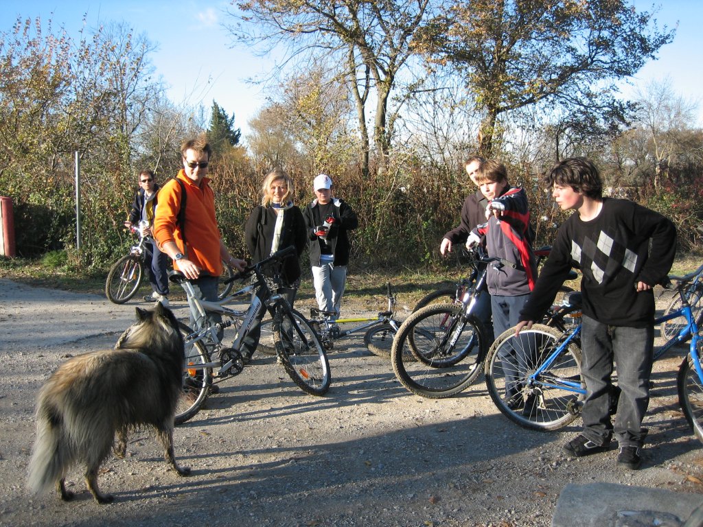 Group and dog