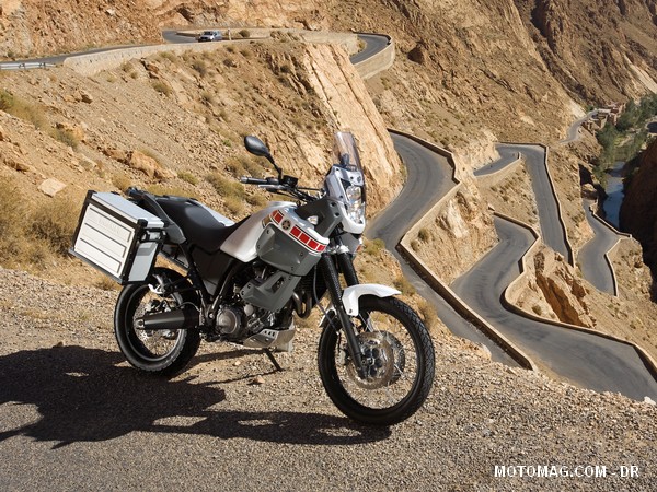XT600Z-Tnr