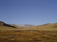 Paysage